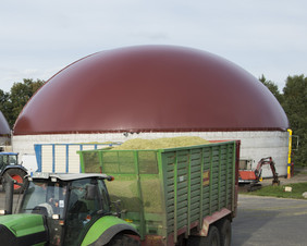 Biogasanlage mit textilem Gasspeicher. Foto: FNR/D. Hagenguth
