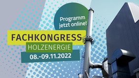 Fachkongress Holzenergie am 8./9. November 2022 im Congress Centrum Würzburg, Quelle: Bundesverband Bioenergie e. V.