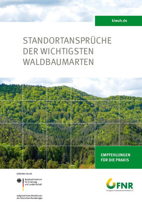 Welcher Baum gehört wohin? Entscheidungsgrundlagen für die standortgerechte Baumartenwahl bietet die Broschüre „Standortansprüche der wichtigsten Waldbaumarten“: Erstmals herausgegeben von der FNR.