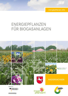 Abb.: Titel Regionalbroschüre "Energiepflanzen für Biogasanlagen" - Niedersachsen