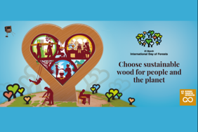 Banner der FAO zum Internationen Tag der Wälder 2022. Quelle: https://www.fao.org/international-day-of-forests/en/