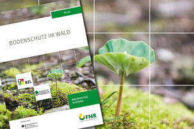 Die FNR veröffentlicht eine neue Broschüre zum Bodenschutz im Wald. Foto: FNR