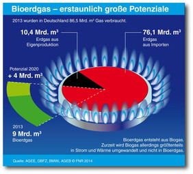 Pressegrafik Biogaspotenziale; Quelle: AGEE, DBFZ, BMWi, AGEB, © FNR