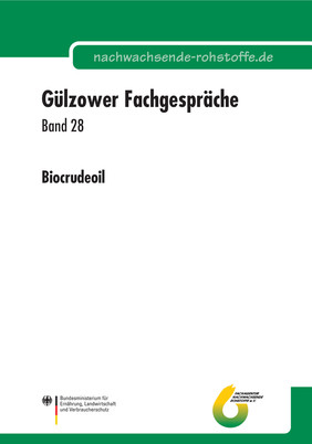 Gülzower Fachgespräche, Band 28: „Biocrudeoil“